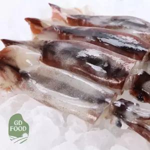 건담농수산 구룡포 손질 통 오징어 냉동 생오징어