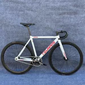 더패스터 쓰나미픽시 완차 쓰나미 snm100