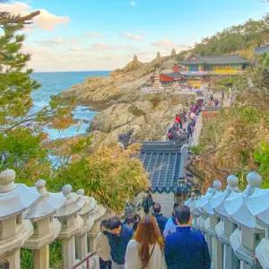 [1박2일/SRT] 방방곡곡 부산탐방