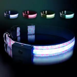 LED 도그 칼라 - 가장 밝은 라이트 업 1 600피트의 높은 가시성 마그네틱 충전 야간 보행을 위한 하트 라지