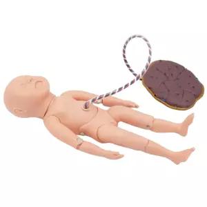 실제크기 43cm 탯줄 신생아 모형 관절인형 간호 의사