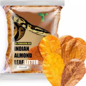 뱀을 위한 부드러운 열대 잎 쓰레기 30개 인디언 아몬드 카타파 8인치 파충류 탱크 기질 옥수수 뱀 및 공