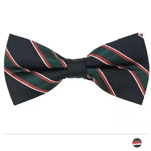 네이비 그린 보타이 W1E17CC