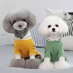 반려동물패션 꼬깔모자 강아지 후드 올인원