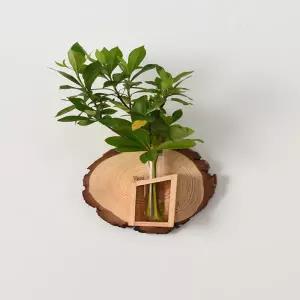 감성 인테리어 액자 빈티지 화분 디자인 꽃병 포인터 벽걸이 장 수경 재배 꽃꽂이 용기 장식 녹색 식물 장