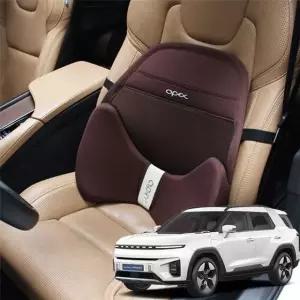 메모리폼 분리형 등쿠션 편안한 메쉬 토레스EVX 인체공학적 등받이 방석 (WFKAWF4)