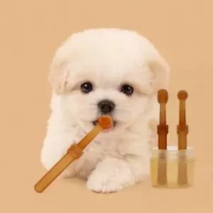 디어펫반려동물칫솔혀클리너세트휴대용케이스