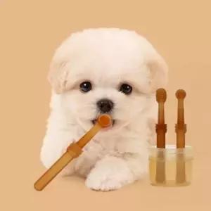 [골드스마일]디어펫반려동물칫솔혀클리너세트휴대용케이스