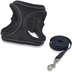 강아지 하네스 소형 및 목줄 세트 세트가 있는 반사 스트립이 편안한 에어 메시 조끼 안전하게 걷기 쉬운