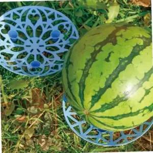 과일 수박 호박 과일 부패 오염 방지 받침대 보호대