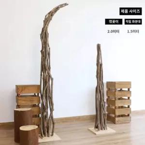 파티세팅 웨딩아치 나무 촬영소품 웨딩촬영 결혼식 로그인