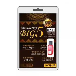 (USB) BIG5 (금세기 예술가) 효도라디오 usb음악 usb뮤직플레이어 뮤직