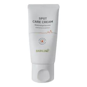 베비루미 배비루미 스팟케어크림