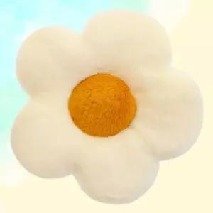 귀여운 플라워 방석 등쿠션 의자방석 디자인방석 (WFKFFH3)