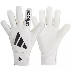 [정품] 아디다스 코파 GL 클럽 골키퍼장갑 (IQ4016)