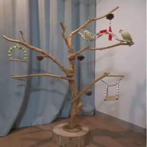 앵무새 횟대 놀이터 용품   앵무새장 원목 장난감 그네