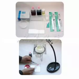 과학실험키트 실험원리 영구 프레파라트직접 제작하기세트 실험재료 EQ발달