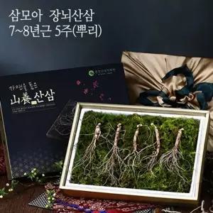 [삼모아] 산양산삼 7-8년근 5뿌리(건강사랑세트)