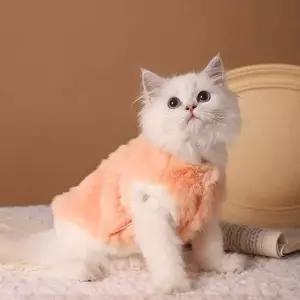 따뜻한 고양이 방한 조끼 실내복 수면옷 애견 의류 강아지패딩옷