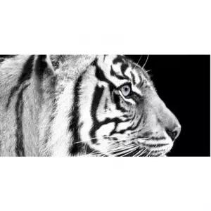 피포페인팅 22 길운의해 호랑이 40x80 대형 DIY명화그리기 운들어오는 돈들어오는