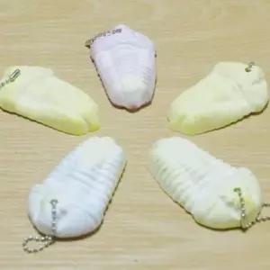 지구과학 실험 삼엽충 화석 석고로 만들기 5p 실험세트