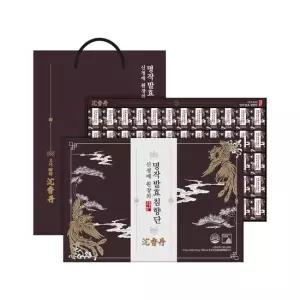 신정애 명작 발효 침향단 60환 x 1박스 + 쇼핑백