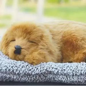 3개세트 리얼 강아지인형 활성탄 탈취제 차량용인형 실내용