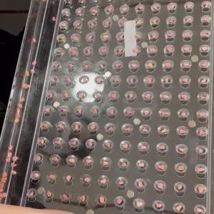 트레이파종기 콩 옥수수 종자 배추 트레이 콩심기