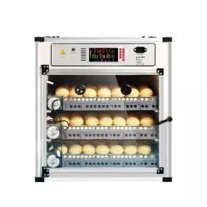 병아리육추기 병아리 계란 곰 부화기 알 달걀 닭