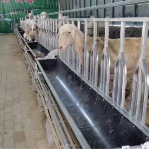 염소 밥통 먹이통 축사 식수 여물 여물통 목장 새끼 사료통 닭 공급기 급여기 배식 대형