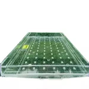 씨앗파종기 모종판 종자 육묘상자 파종 양파용 포트