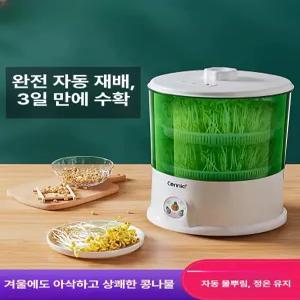 시노 콩나물기계 재배기 콩나물 식물 발아기 가정용