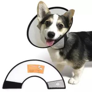 [콩심팥심]애견목카라 강아지 목보호대 5호 넥카라 깔대기 핥기방지 애견