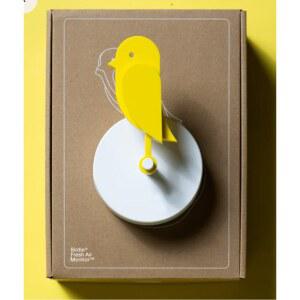 카나리아 버디 덴 이산화탄소 프레시 canairi 사무실공기 사무실 Birdie 소품