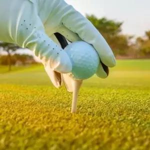 골프티 숏티 롱티 3종 20p 나무골프티 우드골프티