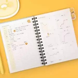 ( )스터디 시험준비 스케줄러 겨울방학 공부 공부다이어리 공시생 꽃길 체크리스트 150x214mm 춘식이 플래