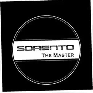 D21 쏘렌토더마스터 매립형 LED 도어라이트