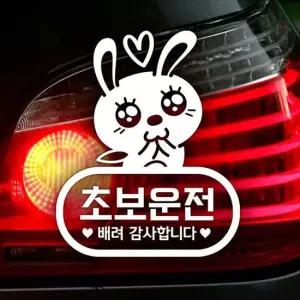 애교토끼 초보운전 초보자동차스티커-반사 자동차용품 익스테리어용품 초보운전스티커
