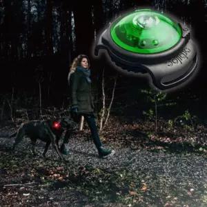 강아지 세이프 안전등 그린 1P 애견 야간 산책 플래시