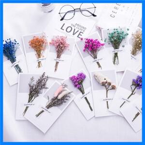 안개꽃 말린 꽃 선물 카드 청첩장 인사 카드 손으로 쓴 생일 축복 감사 봉투 10 개