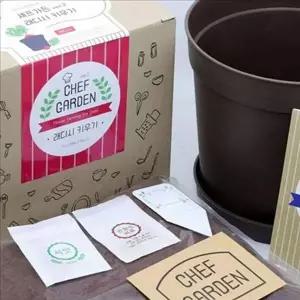 가정용 베란다 텃밭 세트 실내 미니 텃밭 세트 재배 키트