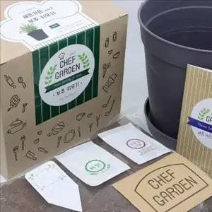 채소 베란다 텃밭 세트 실내 미니 텃밭 세트 키우기 화분