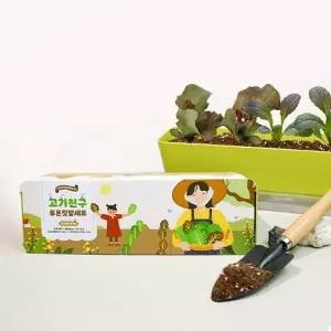 씨앗 상추키우기 화분 텃밭 세트 식물재배기 베란다텃밭화분