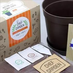 실내 미니 텃밭 세트 가정용 베란다 텃밭 세트 가드닝 어린이