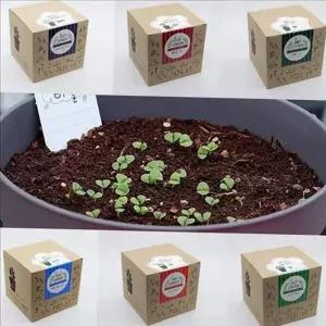 초보 베란다 텃밭 세트 미니 미니 텃밭 세트 가드닝 채소