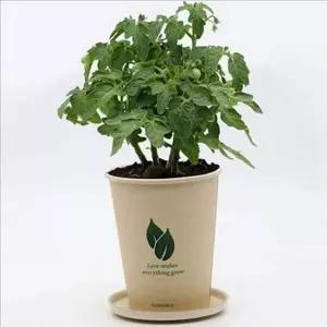 초보자용 방울 토마토 화분 스마트 베란다 텃밭 세트 가드닝 대나무