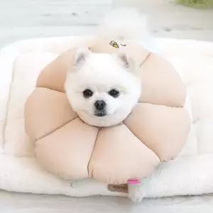 패리스독 꿀잠카라 베이지L넥 고양이 깔대기 상처보호 목쿠션 반려동물 강아지 피부관리