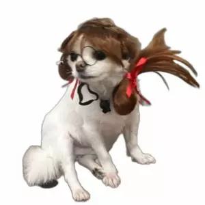 양갈래 강아지 가발 헤어 고양이 동물 모발 분장 코스프레 애견