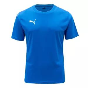 푸마 팀골 저지 ASIA SP(65940302)남성스포츠의류 운동티셔츠 운동 반팔 헬스 스포츠