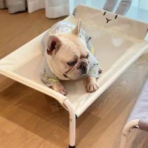 반려동물 강아지 사계절 애견 대형견 애견침대 메쉬 침대